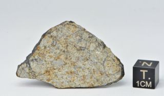 Meteorite Vinales,  Chondrite L6,  fell on Cuba,  Feb.  1,  2019.  8.  64 g slice 7