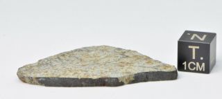 Meteorite Vinales,  Chondrite L6,  fell on Cuba,  Feb.  1,  2019.  8.  64 g slice 8