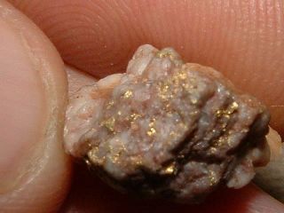 Red Rock Gold Quartz Specimen Natural Gold Nugget 3 Grams Gold In Quartz