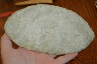 Huge Crook Co,  Wyoming Paleo Ultra Thin Ovoid Bijou Hills Quartzite 8 x 4.  25 2