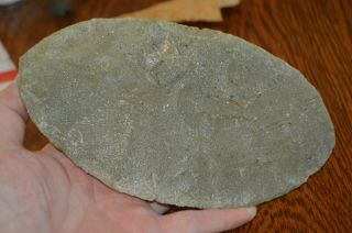 Huge Crook Co,  Wyoming Paleo Ultra Thin Ovoid Bijou Hills Quartzite 8 x 4.  25 5
