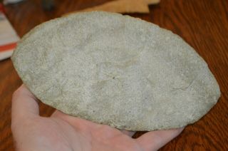 Huge Crook Co,  Wyoming Paleo Ultra Thin Ovoid Bijou Hills Quartzite 8 x 4.  25 6