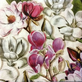Full Package Of 20 Paper Cocktail Napkins For Paper Crafts,  Magnolia Flowers