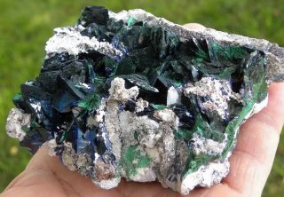 Large,  Fine,  Blue Azurite Crystals Pseudo - Morphing To Malachite,  Matrix,  Milpillas