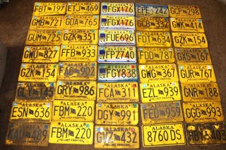 40 Alaska License Plates Last Frontier Celebrating Statehood