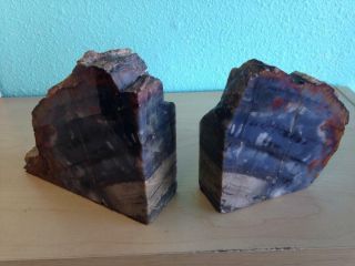 Exquisite Petrified Wood Bookends 6 " Wide,  5 " Tall,  2 " Thick,  7.  8 Lbs.