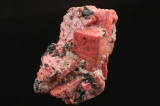 19th C.  Rhodonite Crystal Cluster FRANKLIN,  JERSEY - Ex.  Princeton 2