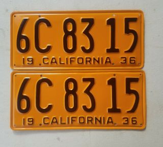1936 California License Plates Pair,  Dmv Clear,  Professionally Restored.