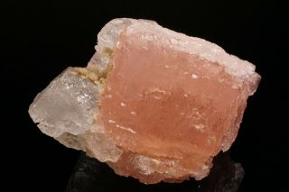 Unique Etched Morganite With Goshenite Crystal Urucum Claim,  Brazil