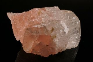 UNIQUE Etched Morganite with Goshenite Crystal URUCUM CLAIM,  BRAZIL 3