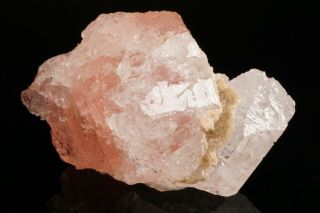 UNIQUE Etched Morganite with Goshenite Crystal URUCUM CLAIM,  BRAZIL 4