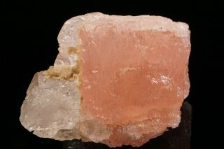 UNIQUE Etched Morganite with Goshenite Crystal URUCUM CLAIM,  BRAZIL 8