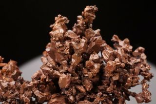 RARE LOCALE Native Copper Crystal Cluster GUILD & ADAMS,  NEVADA - Ex.  Jensen 2
