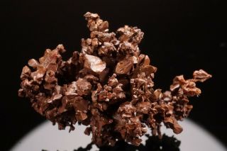 RARE LOCALE Native Copper Crystal Cluster GUILD & ADAMS,  NEVADA - Ex.  Jensen 3