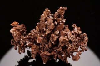 RARE LOCALE Native Copper Crystal Cluster GUILD & ADAMS,  NEVADA - Ex.  Jensen 5