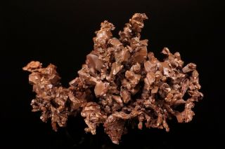 RARE LOCALE Native Copper Crystal Cluster GUILD & ADAMS,  NEVADA - Ex.  Jensen 6