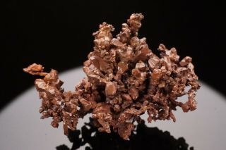RARE LOCALE Native Copper Crystal Cluster GUILD & ADAMS,  NEVADA - Ex.  Jensen 7
