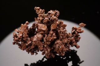 RARE LOCALE Native Copper Crystal Cluster GUILD & ADAMS,  NEVADA - Ex.  Jensen 8