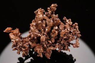 RARE LOCALE Native Copper Crystal Cluster GUILD & ADAMS,  NEVADA - Ex.  Jensen 9