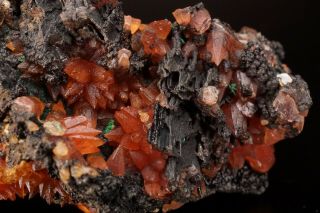 CLASSIC Rhodochrosite Crystal Cluster WOLF MINE,  GERMANY - Ex.  Logan 10