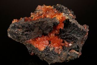 CLASSIC Rhodochrosite Crystal Cluster WOLF MINE,  GERMANY - Ex.  Logan 2