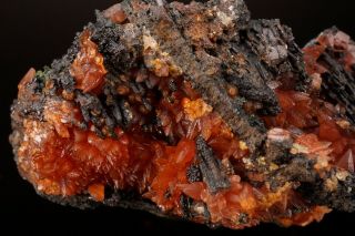 CLASSIC Rhodochrosite Crystal Cluster WOLF MINE,  GERMANY - Ex.  Logan 5