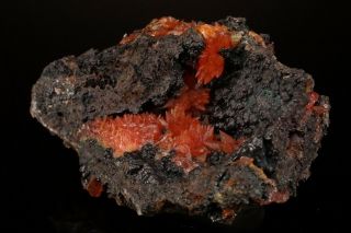 CLASSIC Rhodochrosite Crystal Cluster WOLF MINE,  GERMANY - Ex.  Logan 6