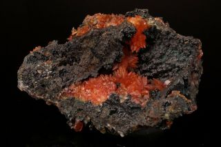 CLASSIC Rhodochrosite Crystal Cluster WOLF MINE,  GERMANY - Ex.  Logan 7