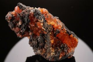 CLASSIC Rhodochrosite Crystal Cluster WOLF MINE,  GERMANY - Ex.  Logan 9