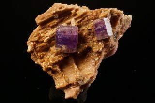 CLASSIC Purple Fluorapatite Crystal Cluster PULSIFER MINE,  MAINE 10