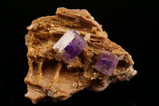 Classic Purple Fluorapatite Crystal Cluster Pulsifer Mine,  Maine