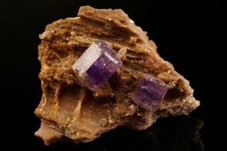 CLASSIC Purple Fluorapatite Crystal Cluster PULSIFER MINE,  MAINE 2