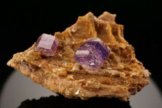 CLASSIC Purple Fluorapatite Crystal Cluster PULSIFER MINE,  MAINE 4