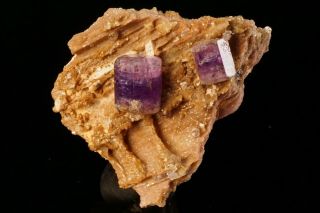 CLASSIC Purple Fluorapatite Crystal Cluster PULSIFER MINE,  MAINE 5