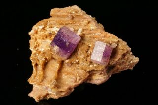 CLASSIC Purple Fluorapatite Crystal Cluster PULSIFER MINE,  MAINE 9