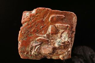 Native Copper pseudomorph after Azurite Crystal MEXICO 10