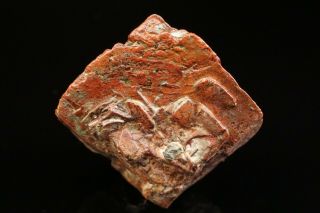 Native Copper pseudomorph after Azurite Crystal MEXICO 4
