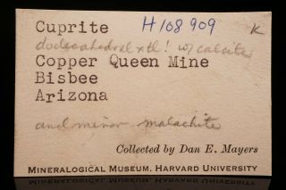 OLD Cuprite on Calcite Crystal BISBEE,  ARIZONA - Ex.  Harvard 4