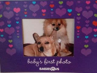 Set Of 2 Purple Pink Blue Green Hearts Magnetic Picture Frames Babies R Us Kids