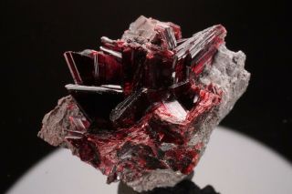 Erythrite Crystal Cluster BOU AZZER,  MOROCCO - Ex.  Pinch 10