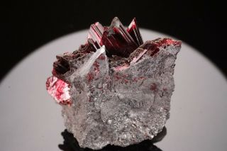 Erythrite Crystal Cluster BOU AZZER,  MOROCCO - Ex.  Pinch 11