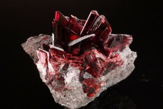 Erythrite Crystal Cluster BOU AZZER,  MOROCCO - Ex.  Pinch 2
