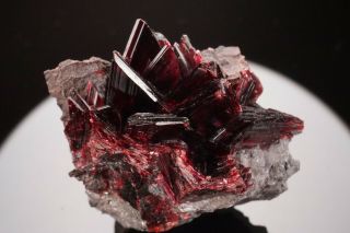 Erythrite Crystal Cluster BOU AZZER,  MOROCCO - Ex.  Pinch 3