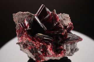 Erythrite Crystal Cluster BOU AZZER,  MOROCCO - Ex.  Pinch 4