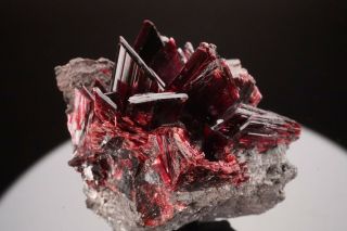 Erythrite Crystal Cluster BOU AZZER,  MOROCCO - Ex.  Pinch 5