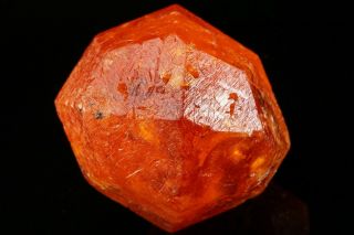 EXRAORDINARY LARGE GEM Spessartine Garnet Crystal LOLIONDO,  TANZANIA 10