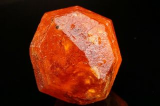EXRAORDINARY LARGE GEM Spessartine Garnet Crystal LOLIONDO,  TANZANIA 11
