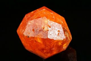 EXRAORDINARY LARGE GEM Spessartine Garnet Crystal LOLIONDO,  TANZANIA 12