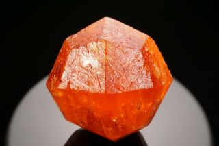 EXRAORDINARY LARGE GEM Spessartine Garnet Crystal LOLIONDO,  TANZANIA 4
