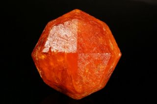 EXRAORDINARY LARGE GEM Spessartine Garnet Crystal LOLIONDO,  TANZANIA 5